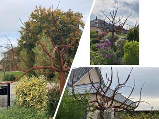 FL1 - Arbre en fer à béton